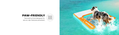 Dog-friendly floating platform.