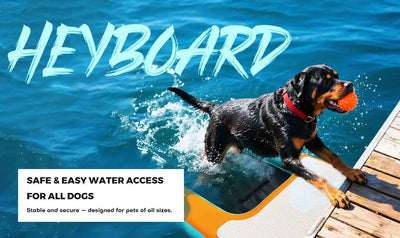 Dog-friendly water access platform.